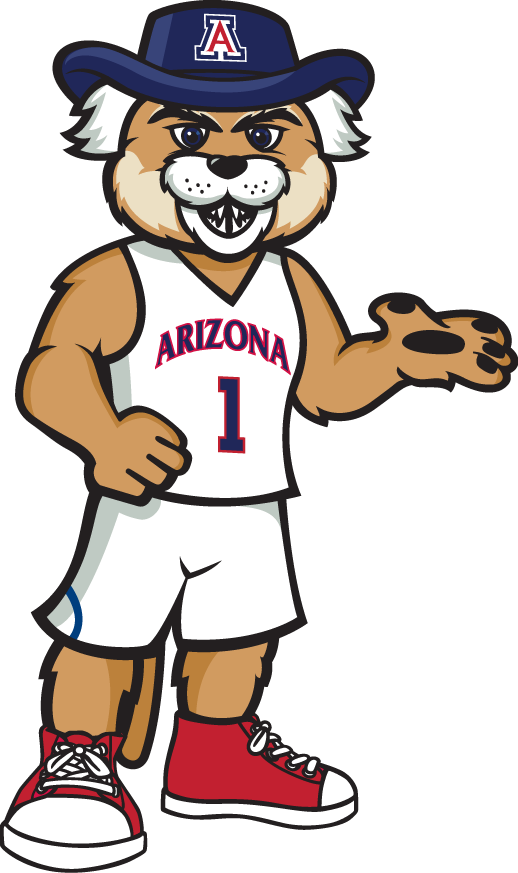 Arizona Wildcats 2013-Pres Mascot Logo v3 diy DTF decal sticker